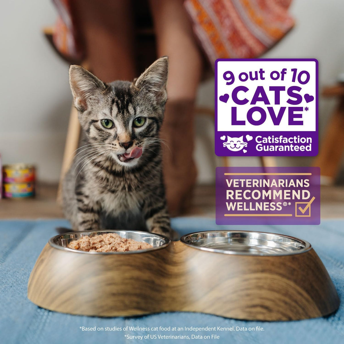 Box of twenty four cat food pouches USA imported