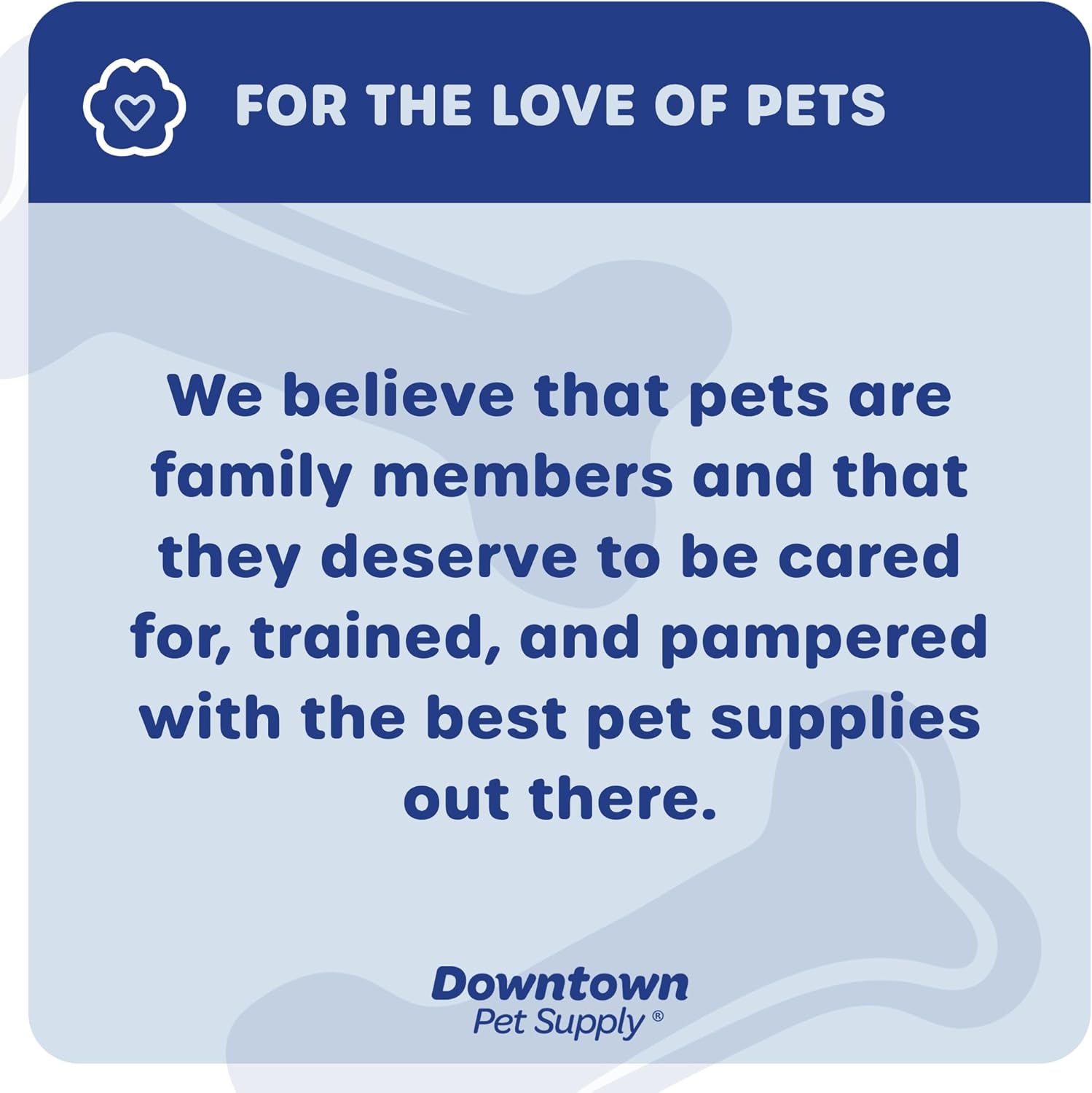 Downtown Pet Supply grain free natural pet chews product texture