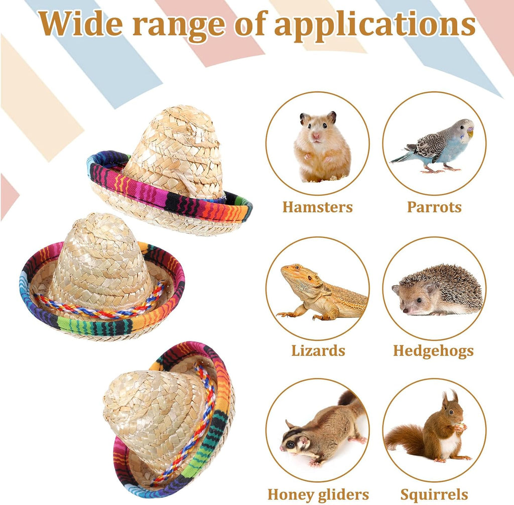 Gtziqa hamster and guinea pig costume festive straw hat display