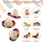 Gtziqa hamster and guinea pig costume festive straw hat display