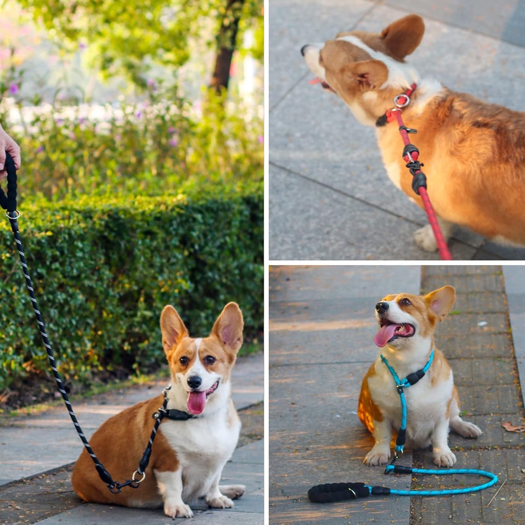 Mystercome no pull slip collar for medium dogs displayed with sturdy metal hardware rings