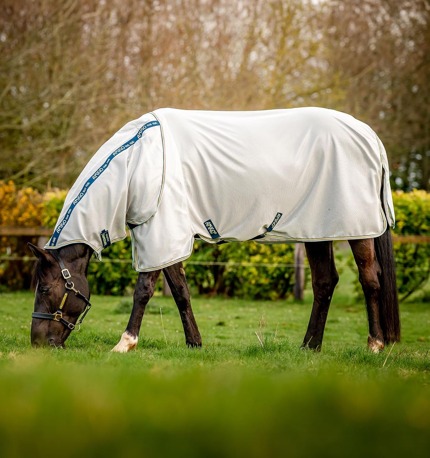 Back view showcasing the supersized tail flap of the Amigo Bug Rug Fly Sheet.