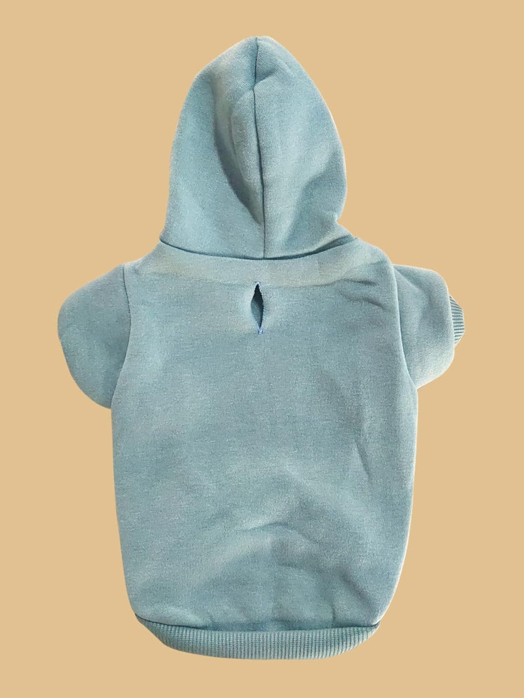 Small dog wearing the QWINEE cadet blue medium pet sweater