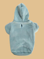 Small dog wearing the QWINEE cadet blue medium pet sweater