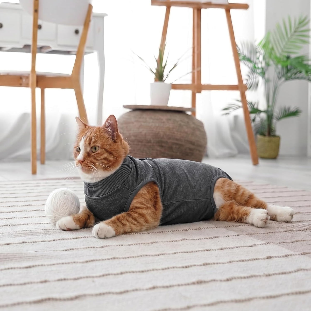 DoggieKit surgical bodysuit for spayed female cat