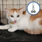 Salbsever imported pet pendant accessories set of two lifestyle view on a small dog.
