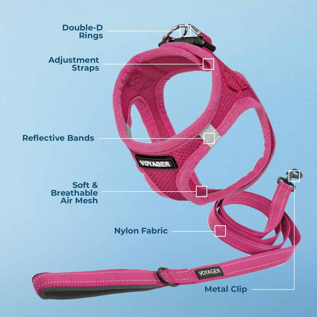 Back view of the secure buckle and D-ring harness attachment