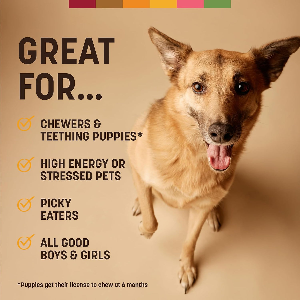 Earth Animal USA imported dog chew packaging details