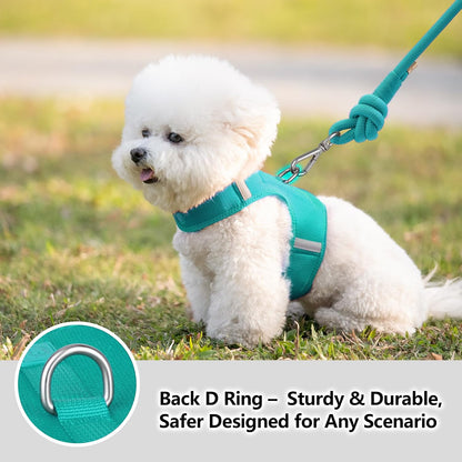Choke free adjustable puppy harness step in style for sensitive necks