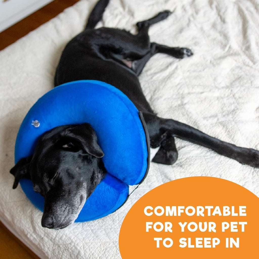 Zippered removable blue cover of Bencmate recovery collar being separated for washing