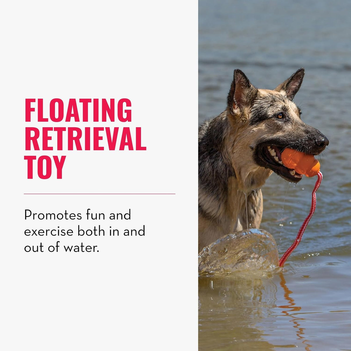 KONG Aqua floating retrieval toy showing throw rope