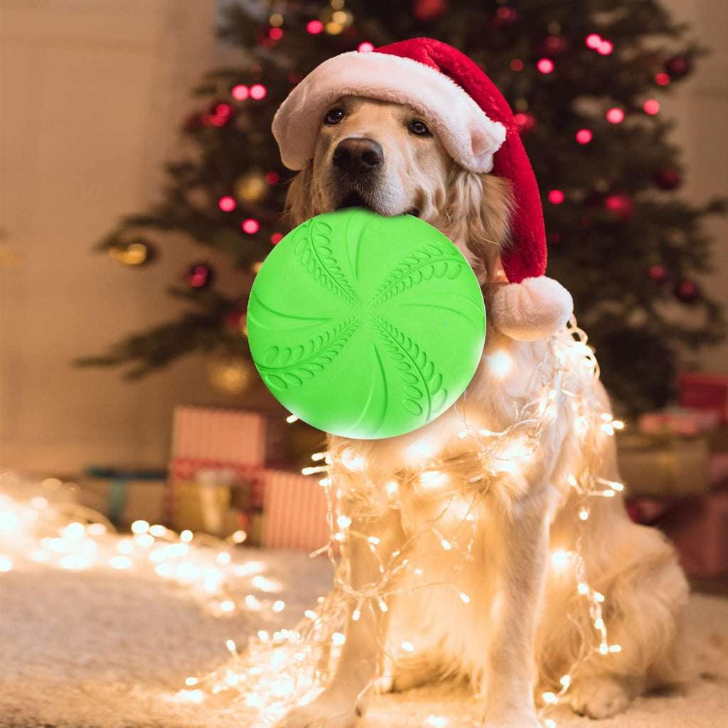 Nobleza dog flying disc set for outdoor exercise