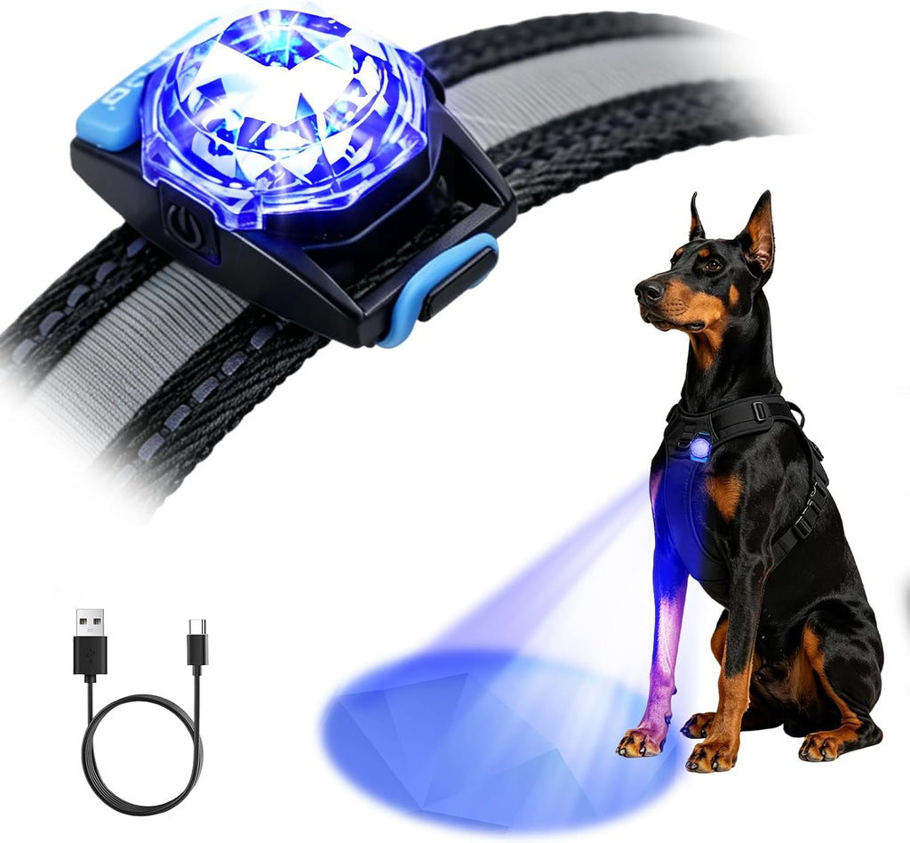 LaRoo Dog Lights for Night Walking, LED Dogs Collar Lights for Nighttime Clip On Light up Dog Collar Pet Camping Essentials Orange - Image 10