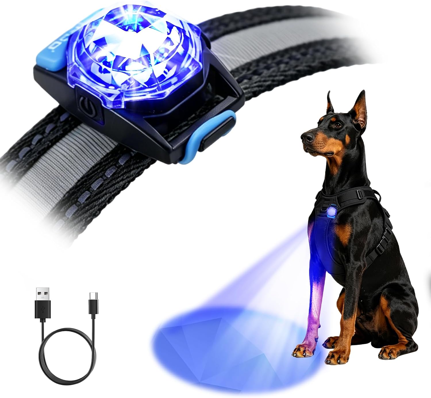 LaRoo Dog Lights for Night Walking, LED Dogs Collar Lights for Nighttime Clip On Light up Dog Collar Pet Camping Essentials Orange - Image 10