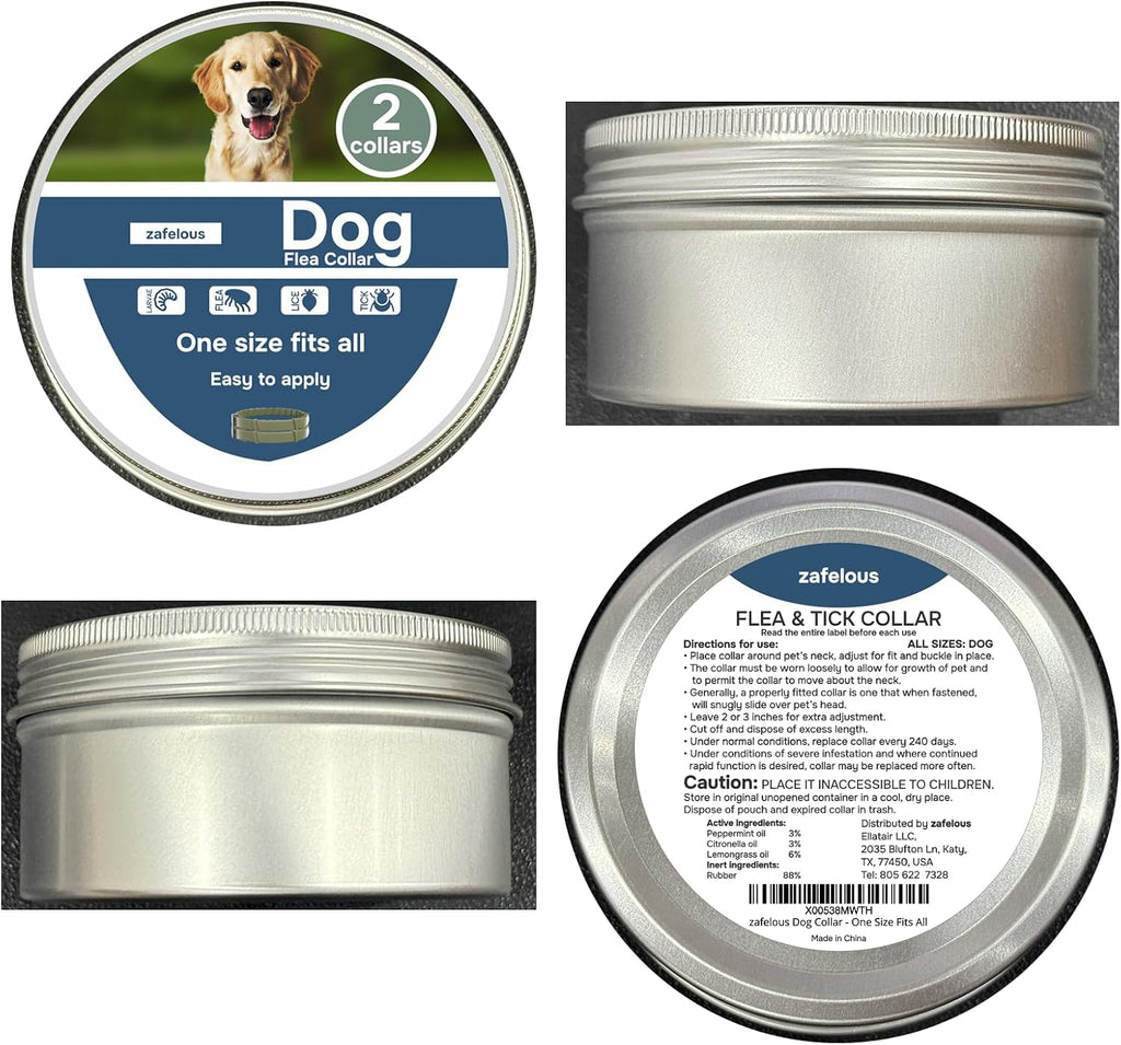 Dog wearing 8 month protection flea collar