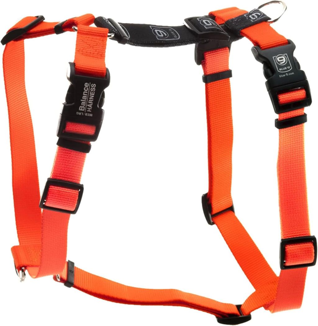 Blue-9 balance harness packaging and branding