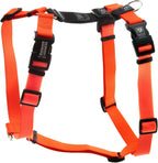 Blue-9 balance harness packaging and branding