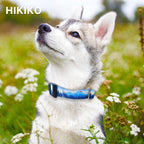 Soft nylon training collar for medium dogs in Hill design.