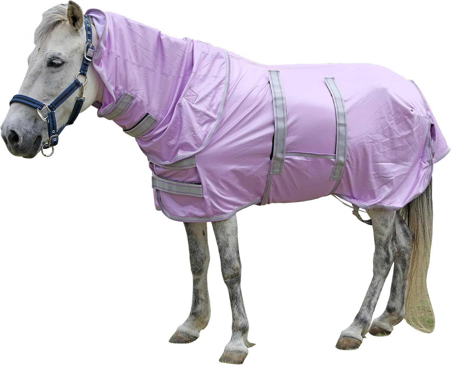 LEAFOREST 48 inch equine fly sheet folded flat with all accessories