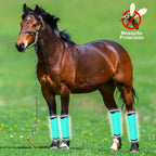 Adjustable velcro hook and loop straps on large green horse fly boots