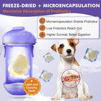 DRFOSTER Probiotics for Dogs, Freeze-Dried Dog Probiotics and Digestive Enzymes, Plus Omega-3 for Itchy Skin, Prebiotics for Digestive Health, Dog Vitamins and Supplements for Immune Health, 180 Bites - Image 9
