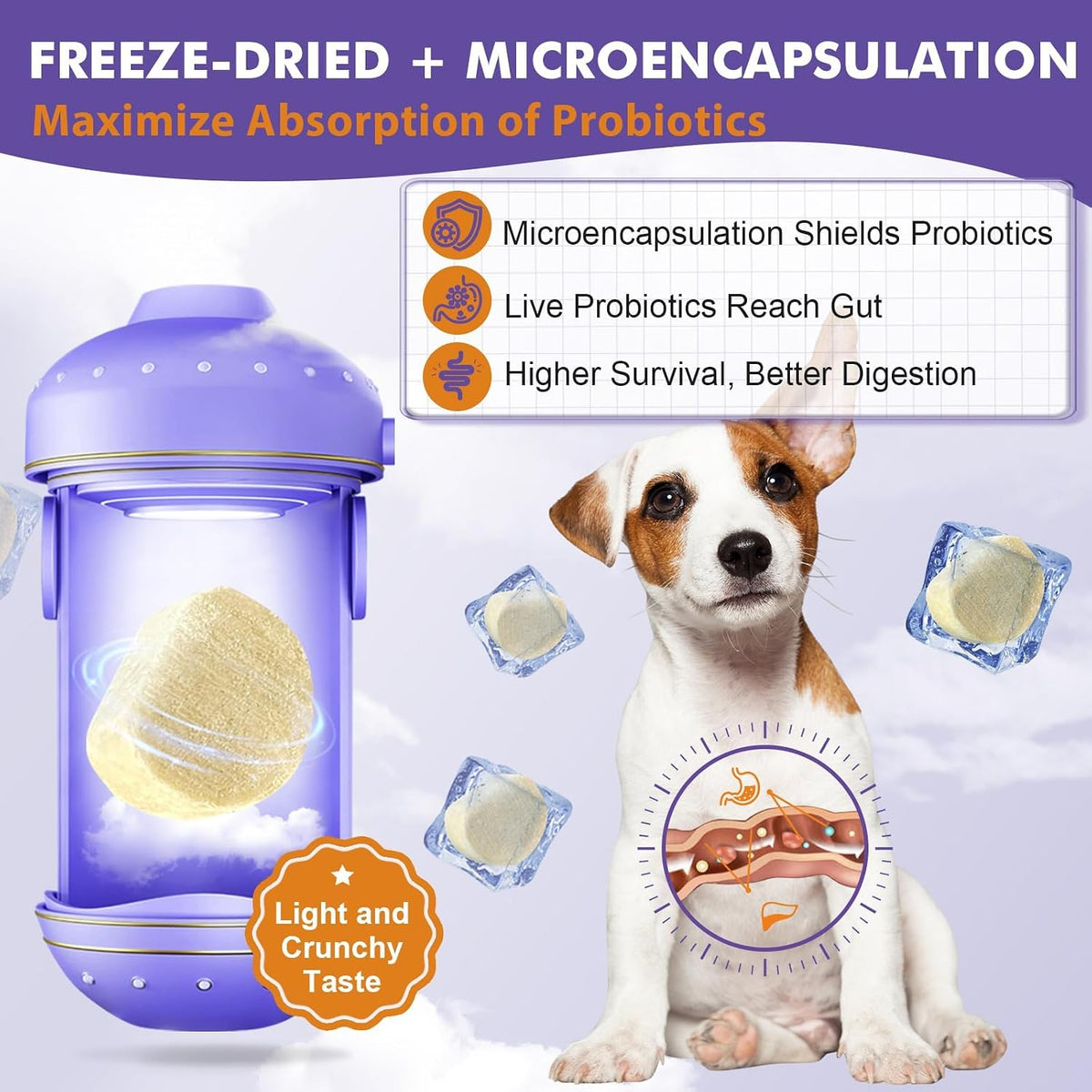 DRFOSTER Probiotics for Dogs, Freeze-Dried Dog Probiotics and Digestive Enzymes, Plus Omega-3 for Itchy Skin, Prebiotics for Digestive Health, Dog Vitamins and Supplements for Immune Health, 180 Bites - Image 9