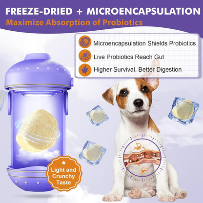 DRFOSTER Probiotics for Dogs, Freeze-Dried Dog Probiotics and Digestive Enzymes, Plus Omega-3 for Itchy Skin, Prebiotics for Digestive Health, Dog Vitamins and Supplements for Immune Health, 180 Bites - Image 9
