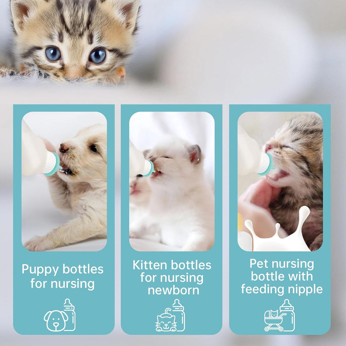 BPA-free food-grade silicone pacifiers for small infant animals and squirrels