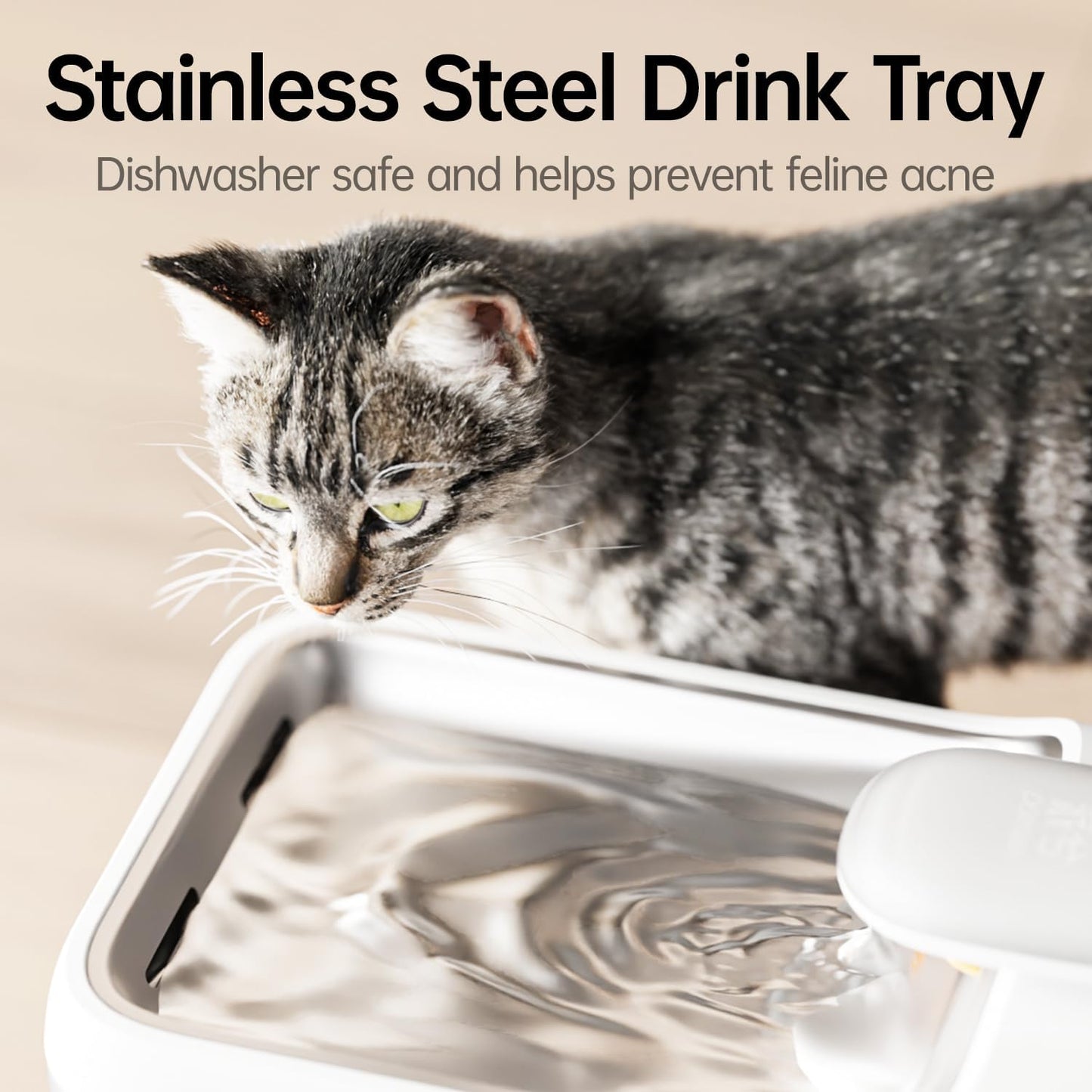 Close up of Petsee pet fountain stainless steel tray