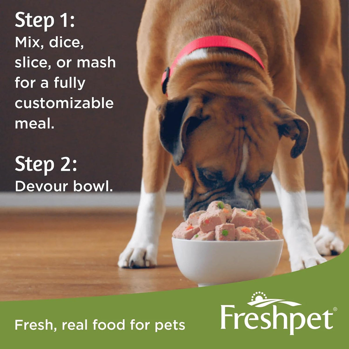 Freshpet 6 pound dog food gift set pack of four