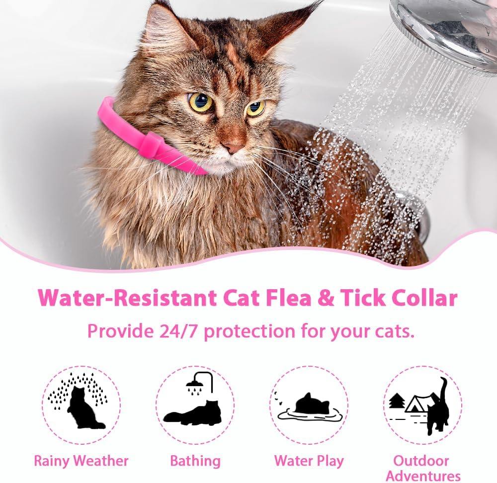 Waterproof flea collar for cats on white background