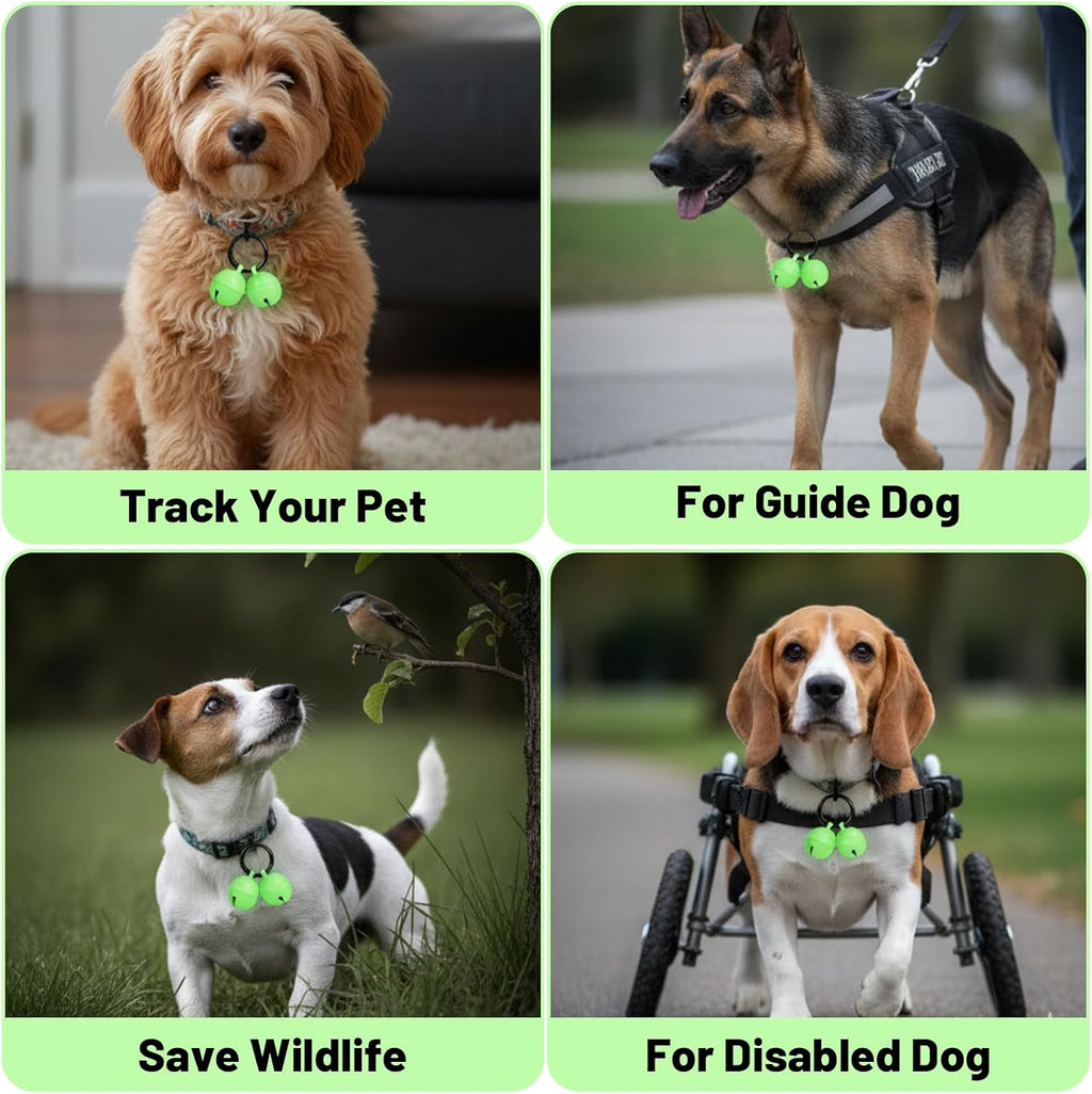 CZFSWT authentic imported USA premium pet tracking bell packaging view.