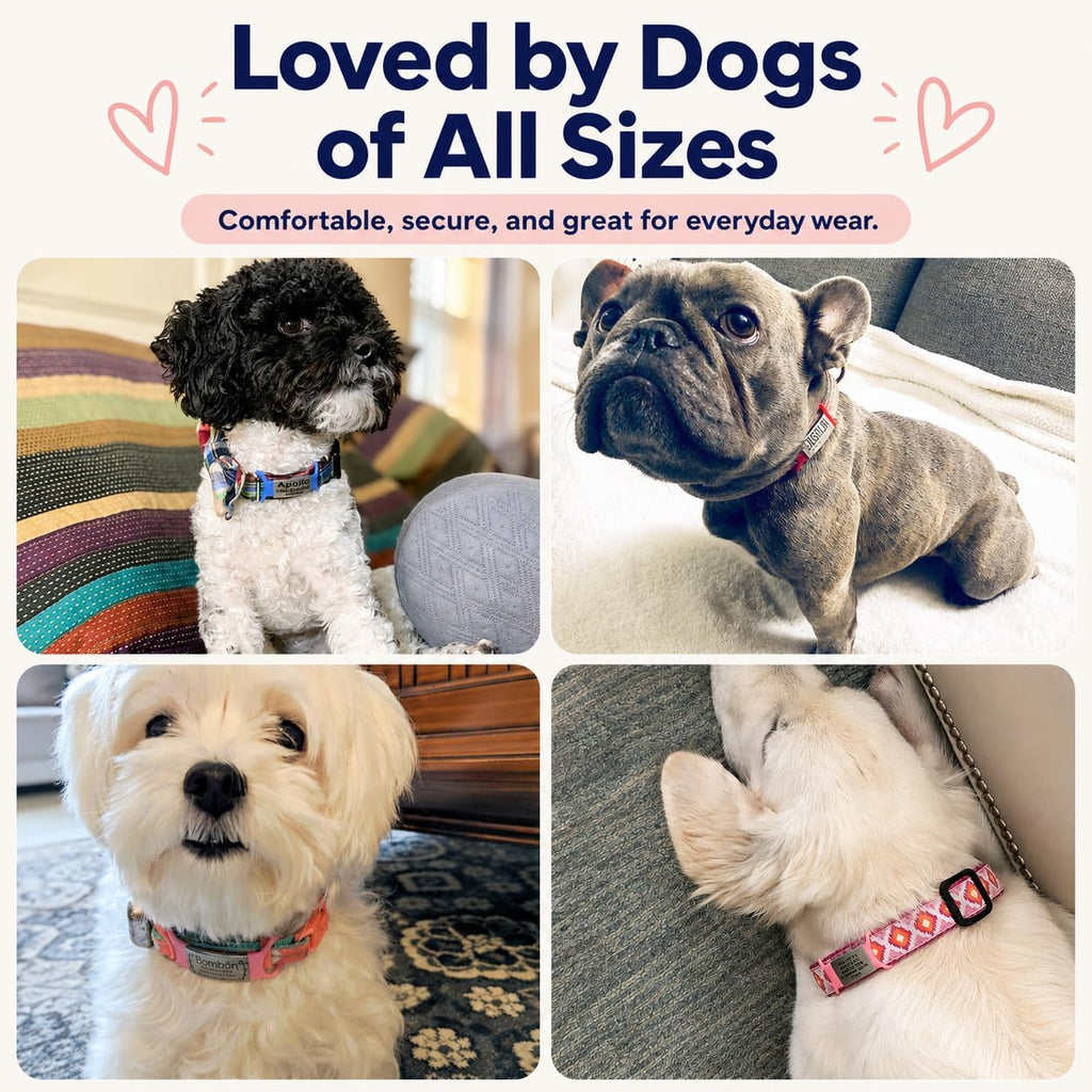 Rustproof stainless steel customized dog tag extra large size