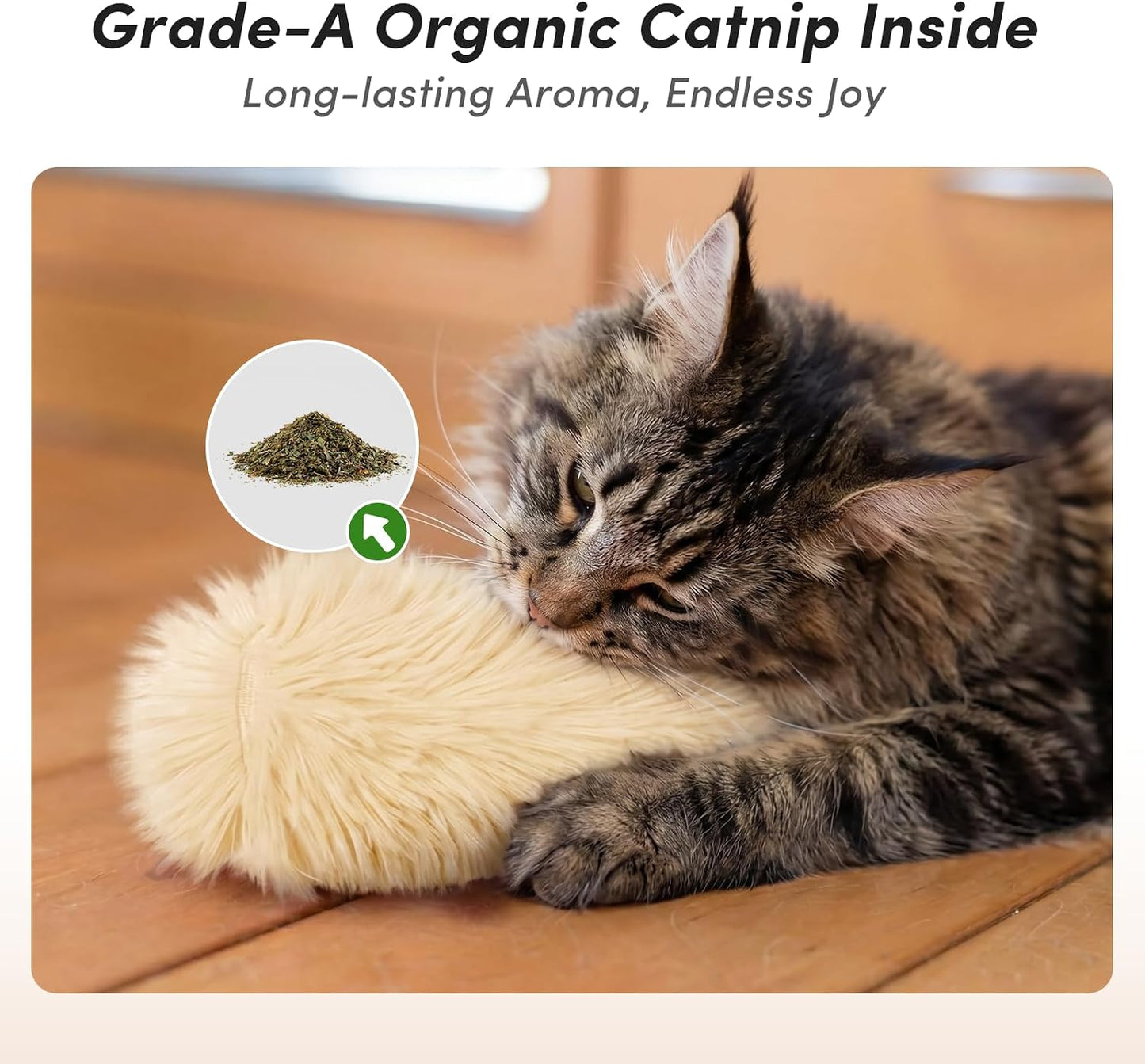 Indoor cat playing with soft crinkle catnip toy