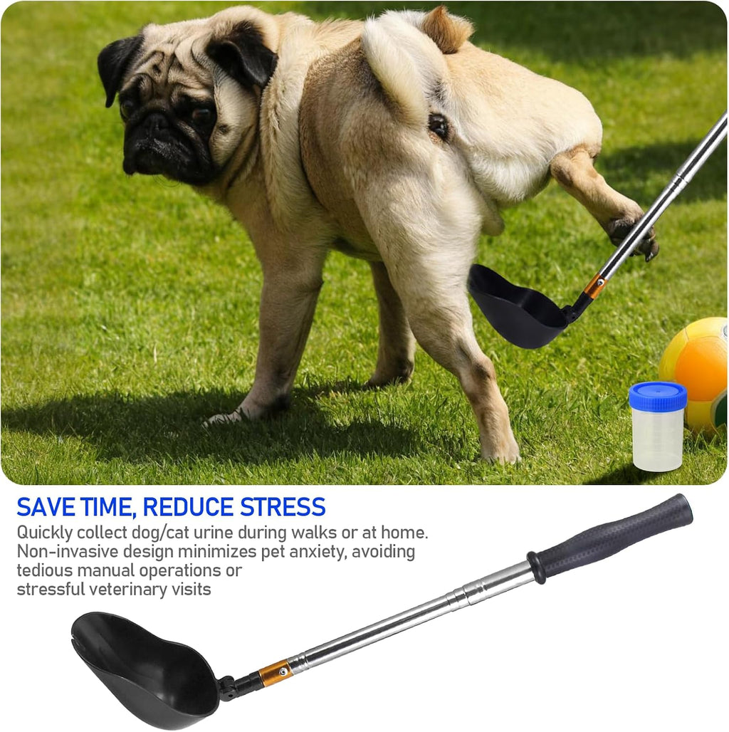 Portable dog urine sample catcher for home veterinary testing
