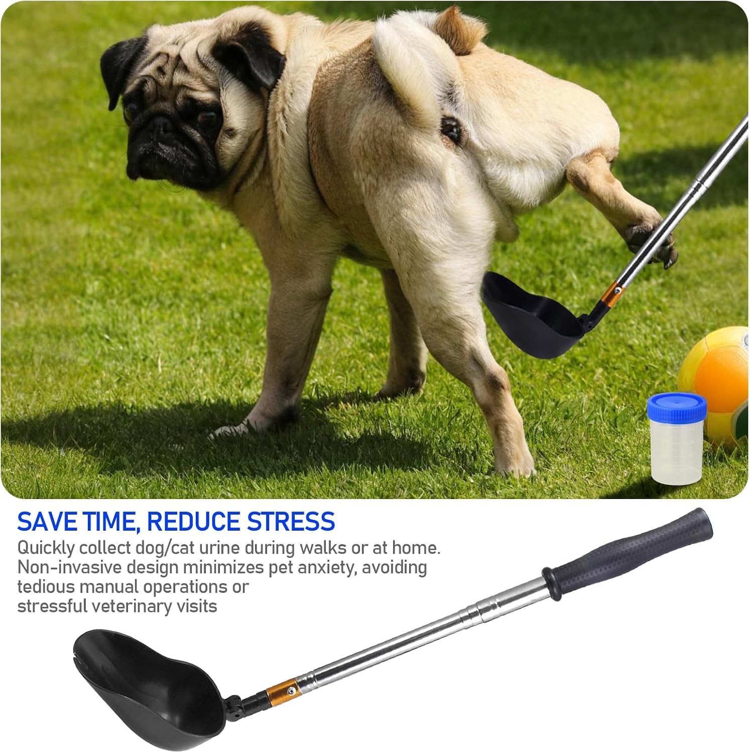 Portable dog urine sample catcher for home veterinary testing
