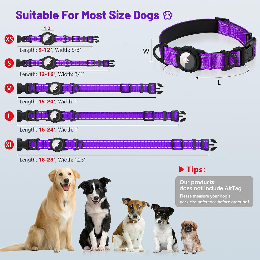 Taglory AirTag dog collar worn by a medium dog