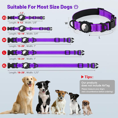 Taglory AirTag dog collar worn by a medium dog