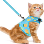 Pupteck adjustable pet walking vest and fifty nine inch leash set