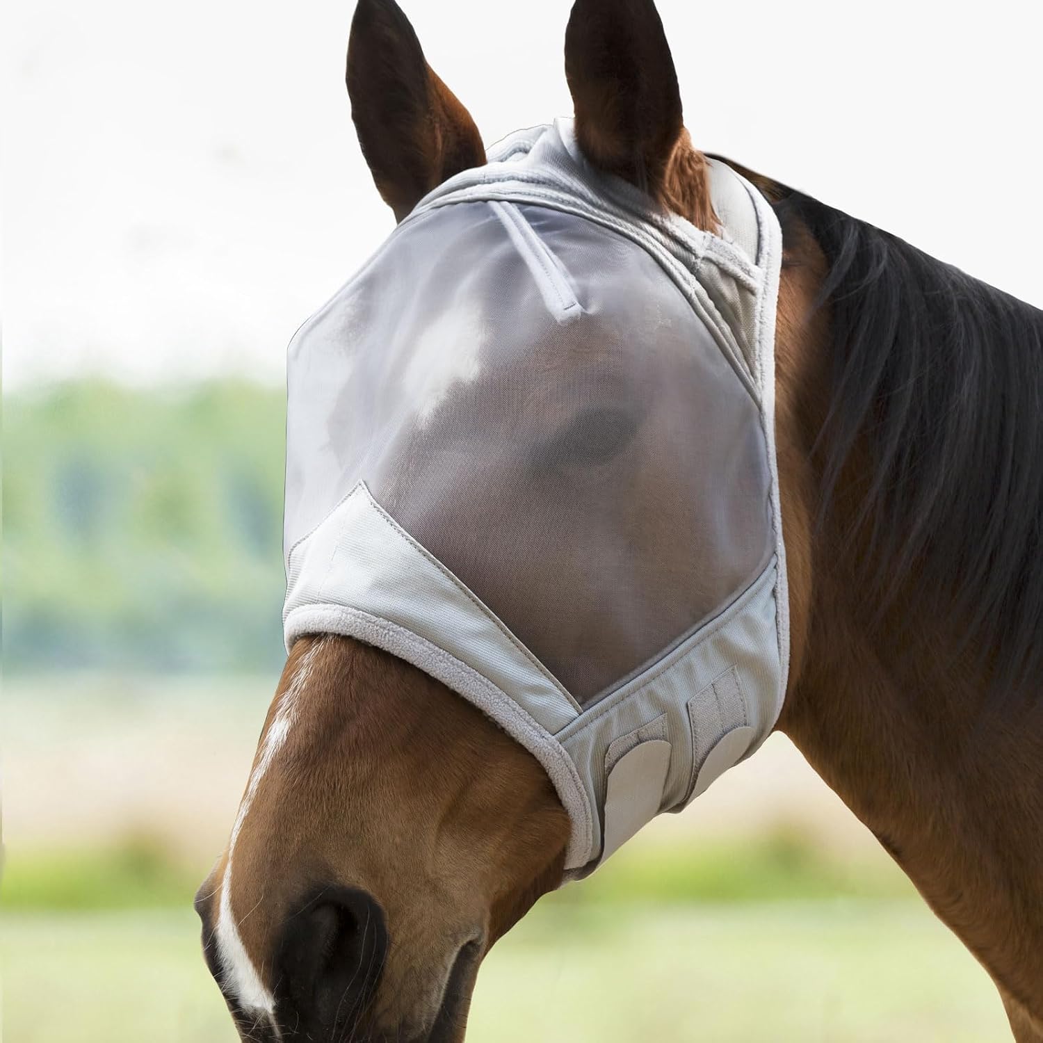 Soft fleece padding detail on Harrison Howard horse mask