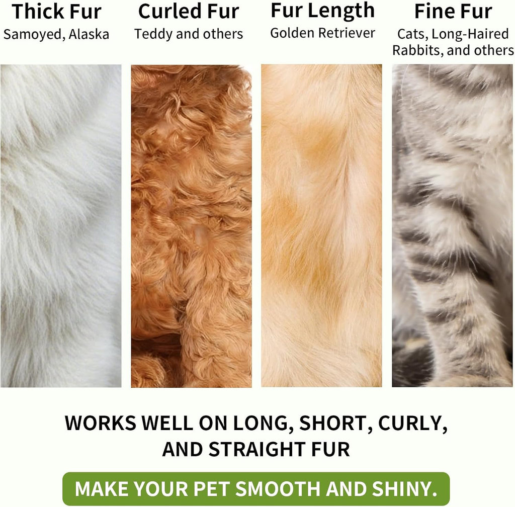 Before and after coat shine results on a cat using Ulroyda fur care oil