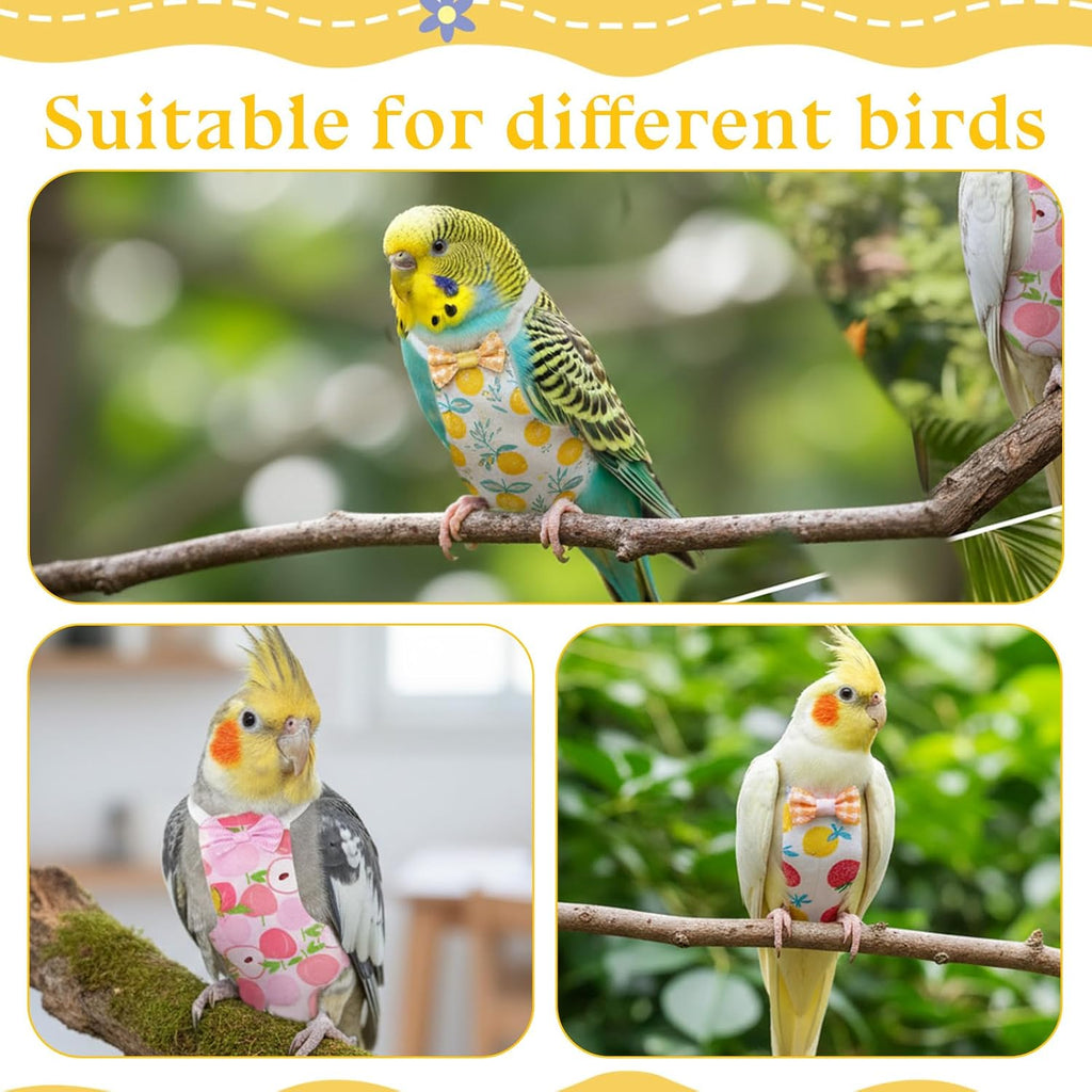 Cockatiel wearing a colorful washable flight suit securely.