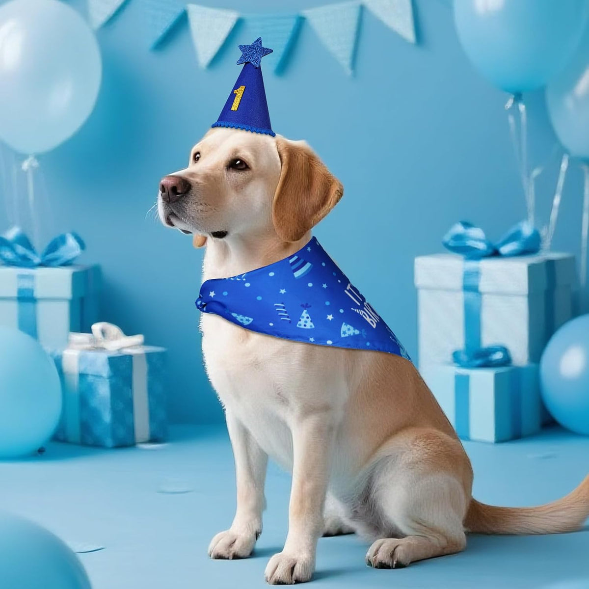 Agroon blue pet decoration supplies being adjusted on a large breed puppy