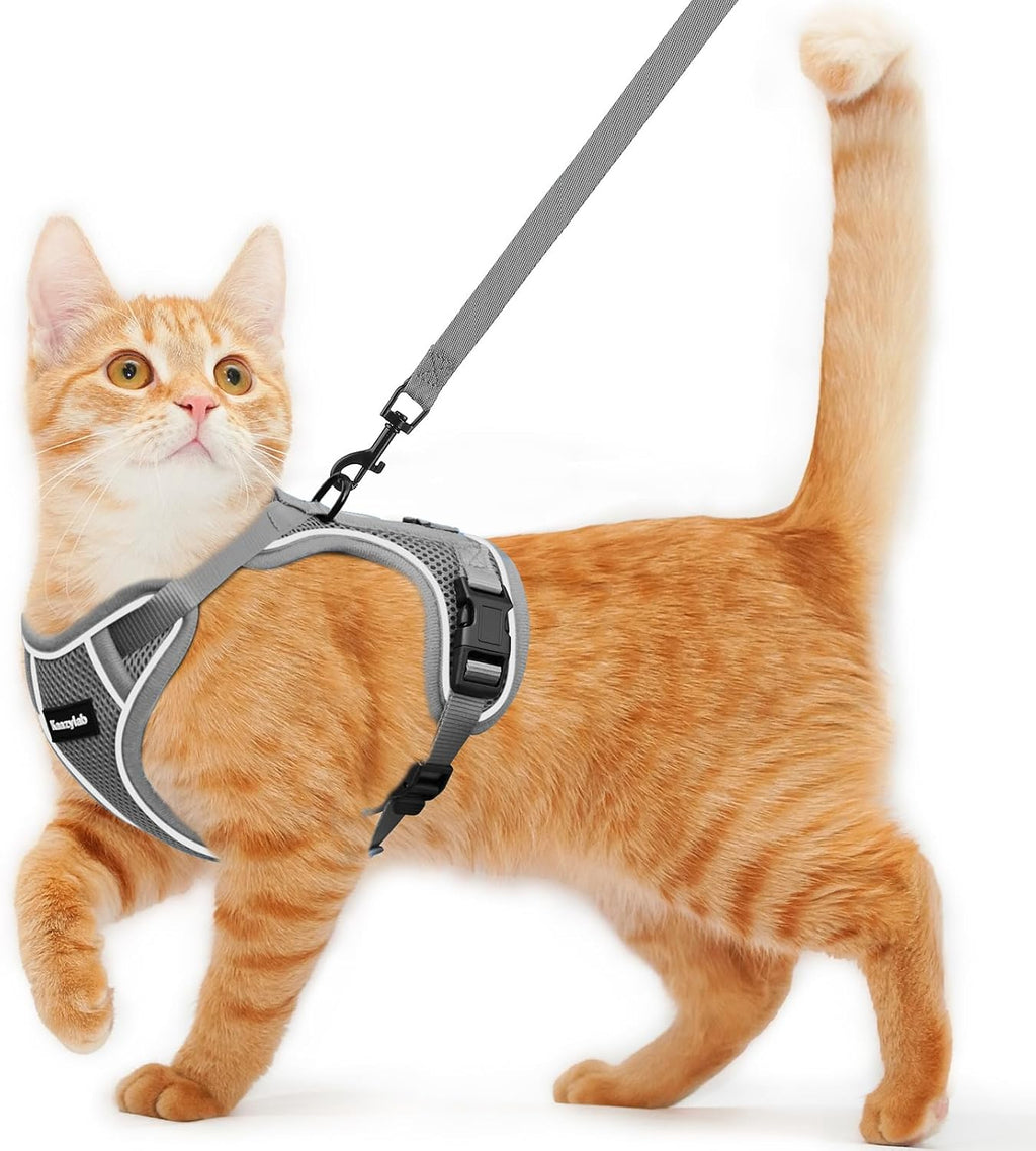 Secure double layered cat harness set for safe walking.
