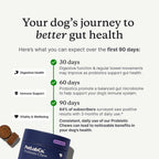 Nutritional profile and weight-based daily feeding instructions for PetLab Co. probiotics.