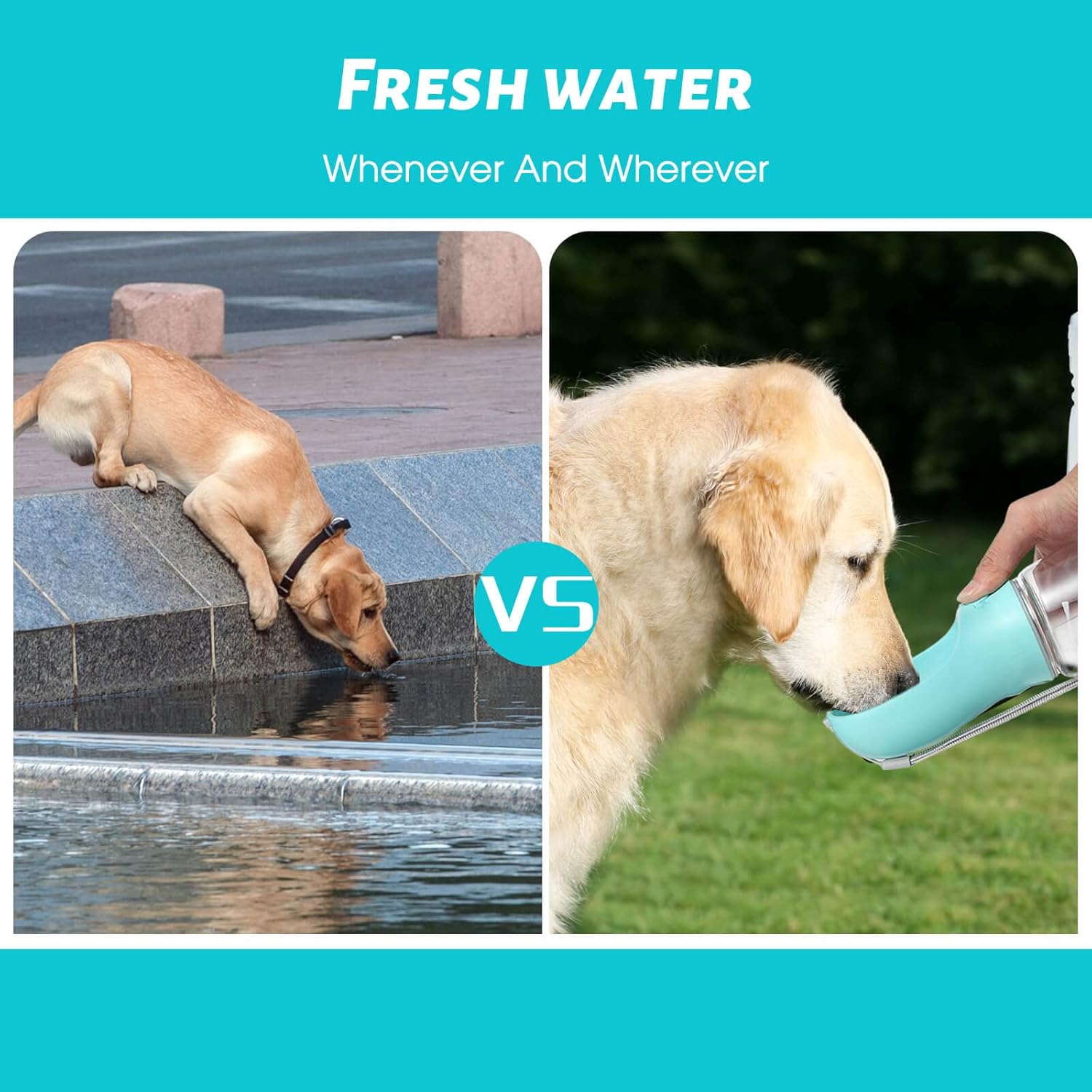 Kalimdor food grade plastic pet water cup with sling rope