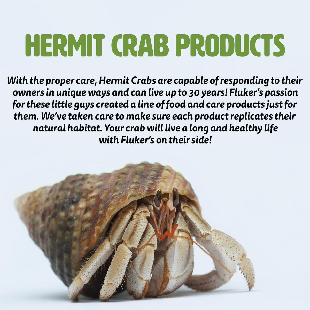Authentic USA sourced pet care product packaging details