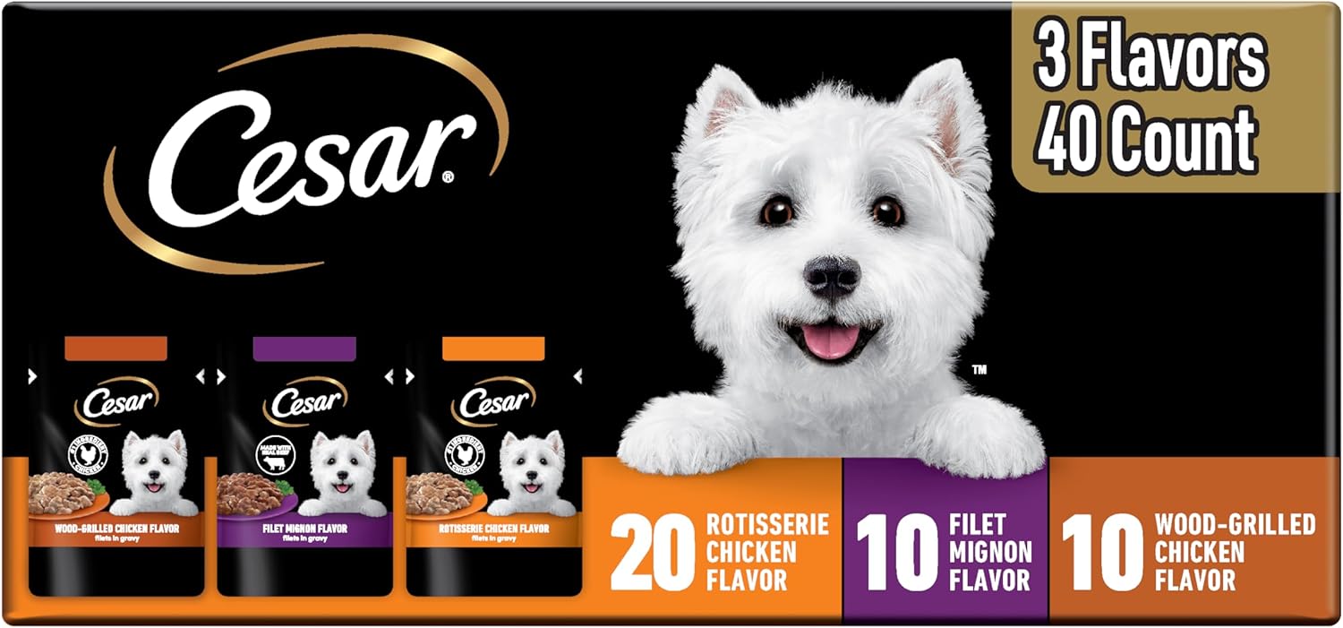 Cesar Filets in Gravy Wet Dog Food, Filet Mignon Flavor, Wet Food for Dogs, 1.76 oz. Mini-Pouches, 20 Count - Image 14