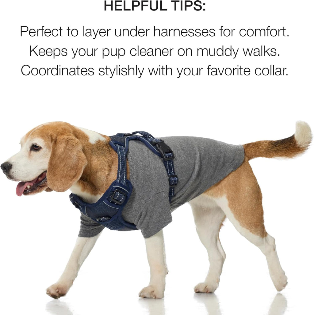 Pet Passion dog shirt size guide and fit demonstration