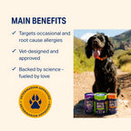 BetterWild probiotic and colostrum supplement for itchy skin.